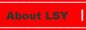 About LSY